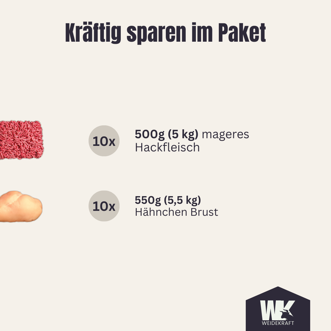 Kraftpaket (Performance)