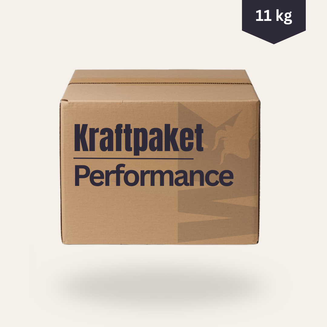 Kraftpaket (Performance)