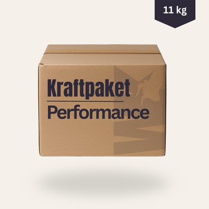 Kraftpaket (Performance)