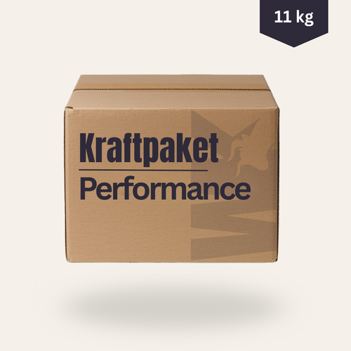 Kraftpaket (Performance)