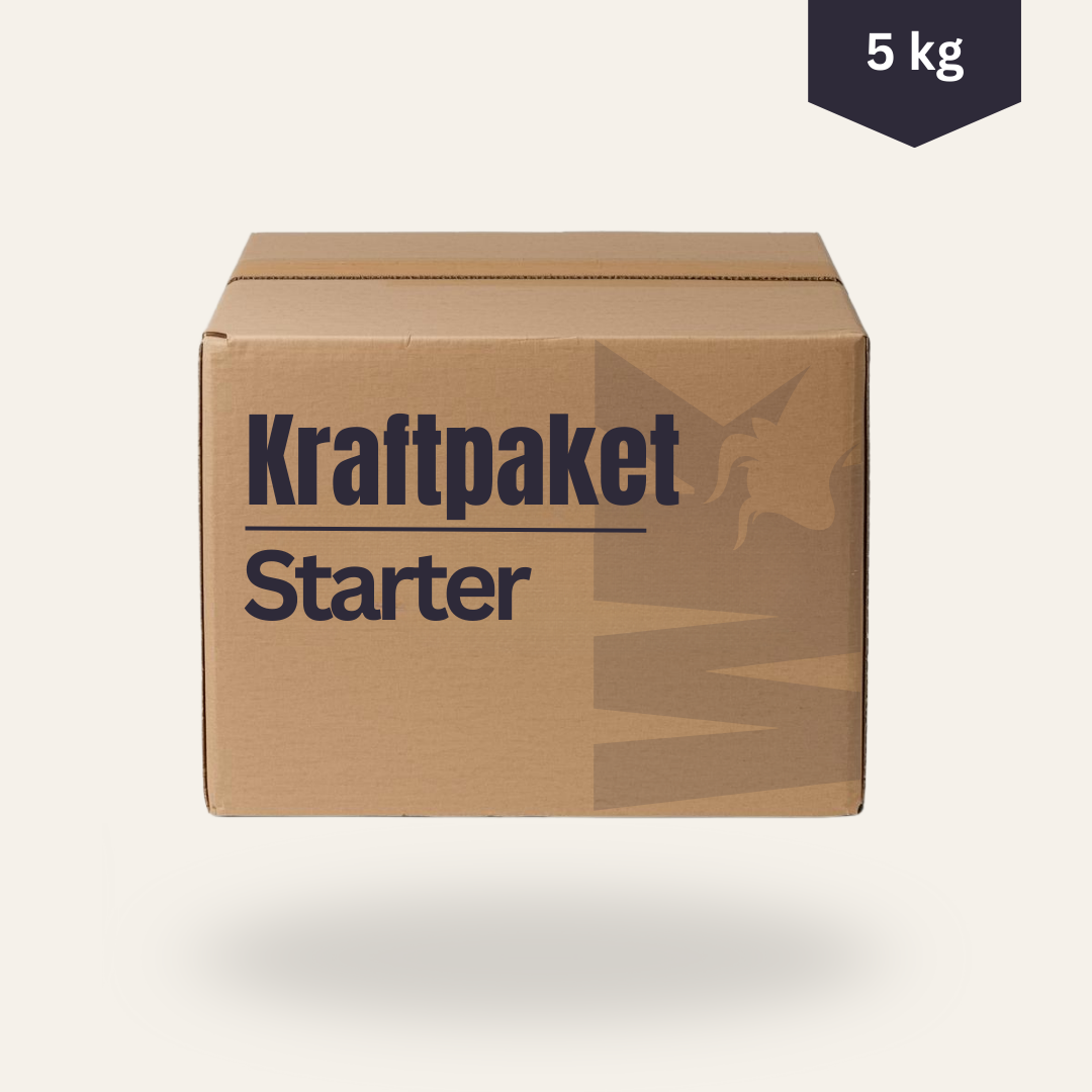 Kraftpaket (Starter)