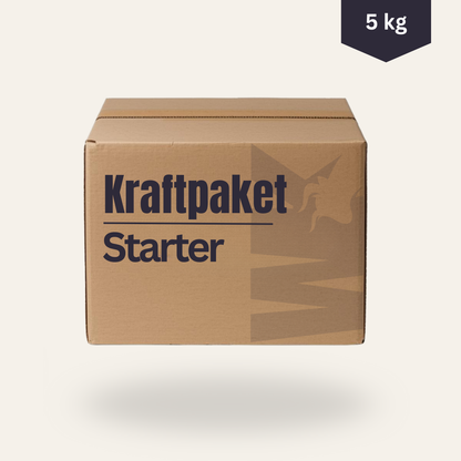 Kraftpaket (Starter)