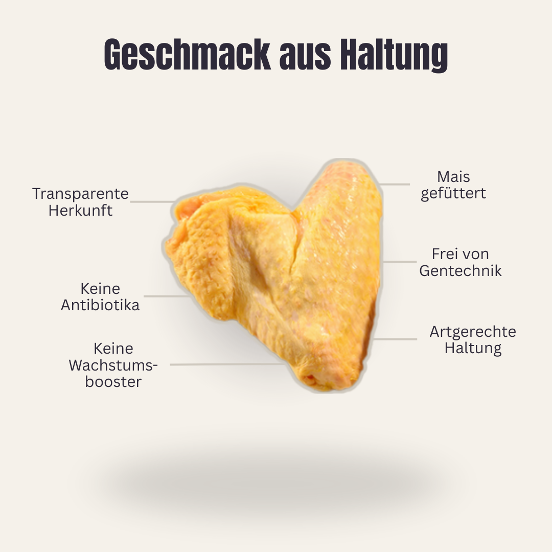 Hähnchen Flügel