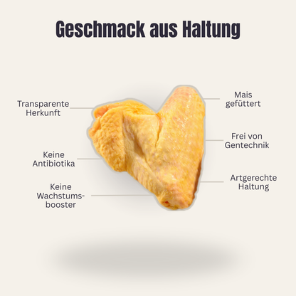 Hähnchen Flügel